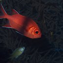 ���� ������, ������ - ��������� 23 ������� 2016 � ������ ���� �����