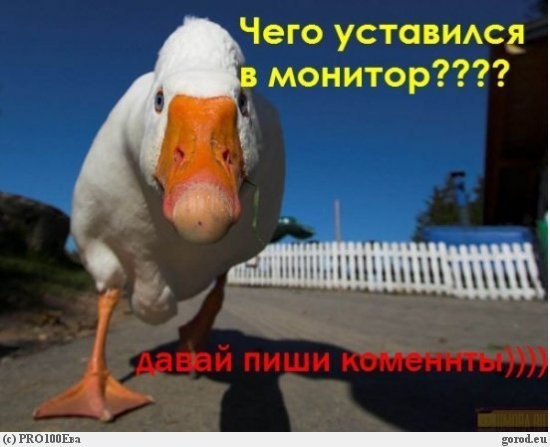 )))