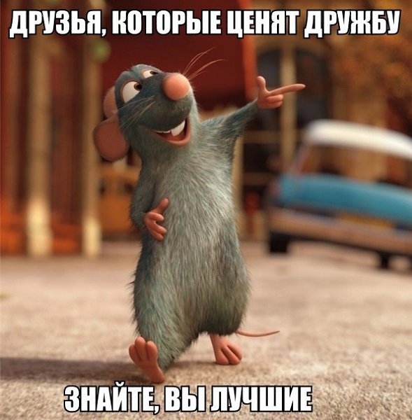    :D - 25  2016  14:33