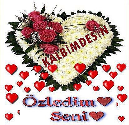  ....... - 3  2017  14:50