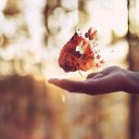 ���� ��������, ��������� - ��������� 30 �������� 2016 � ������ ������ ��������