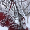 ���� Anna, ������, 52 ���� - ��������� 11 ������� 2016