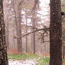 ���� �������, ����������, 49 ��� - ��������� 13 ������� 2016 � ������ ���� ����������