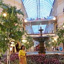 ���� ����, ������ - ��������� 17 ������� 2016 � ������ ���� ����������