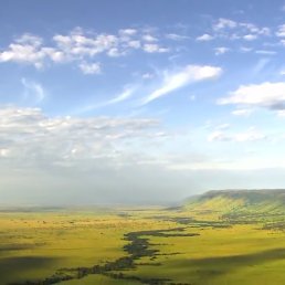 �����, ������, 58 ���