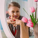 ���� ������, ����, 66 ��� - ��������� 3 ������ 2016 � ������ ���� ����������