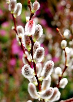   - 15  2016  00:15 - 3