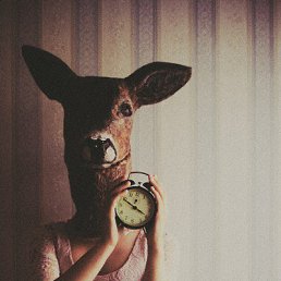 �����, ������, 27 ���