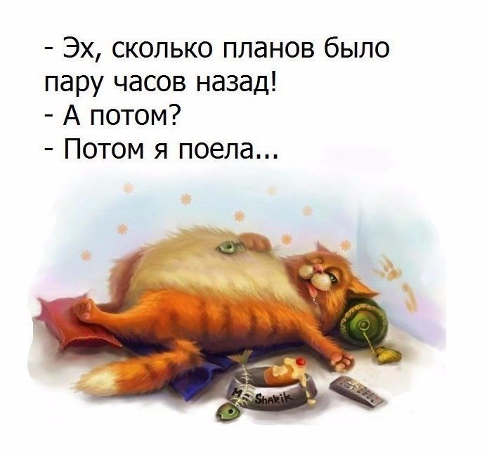  - 26  2017  12:21