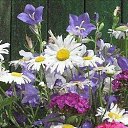 ���� ����, ������, 45 ��� - ��������� 14 �������� 2016 � ������ ���� ����������