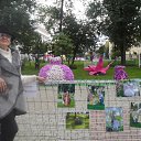 ���� �������, ����� - ��������� 11 �������� 2016 � ������ ���� ����������