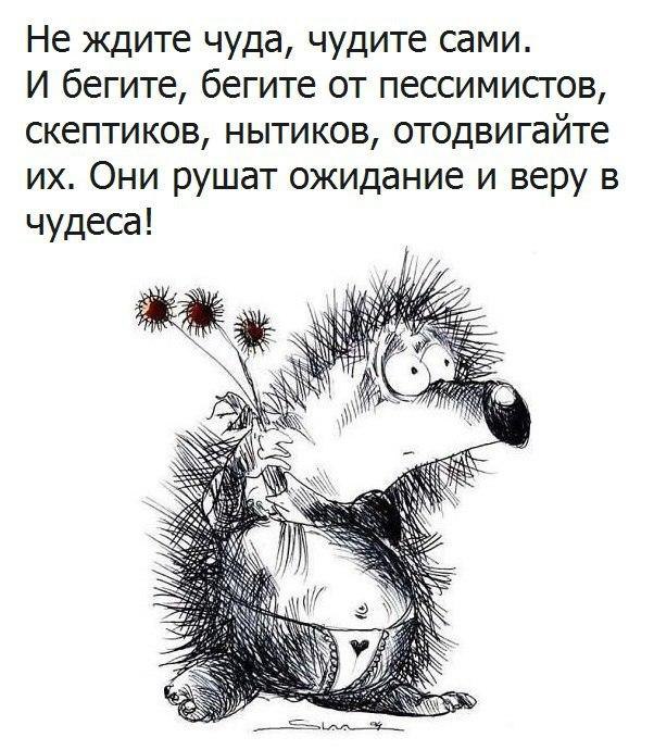 �������� - 7 ������� 2017 � 22:26