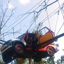 ���� ����, ����������, 46 ��� - ��������� 25 �������� 2016 � ������ ���� ����������