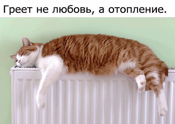 �� ���������� ���� ר! - 25 ������� 2016 � 09:06