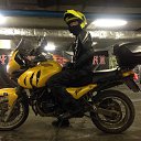 ���� ���� �����, ������, 40 ��� - ��������� 27 ������ 2016