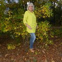 ���� ����, �������� - ��������� 4 ������� 2016 � ������ ���� ����������