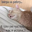 ���� Kriss, ���� - ��������� 2 ������� 2016 � ������ ������ ��������