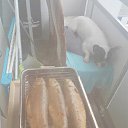 ���� Ljudmila, ���� - ��������� 25 ������� 2016 � ������ ���� ����������