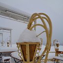  , , 60  -  3  2017     ,28.01.17.