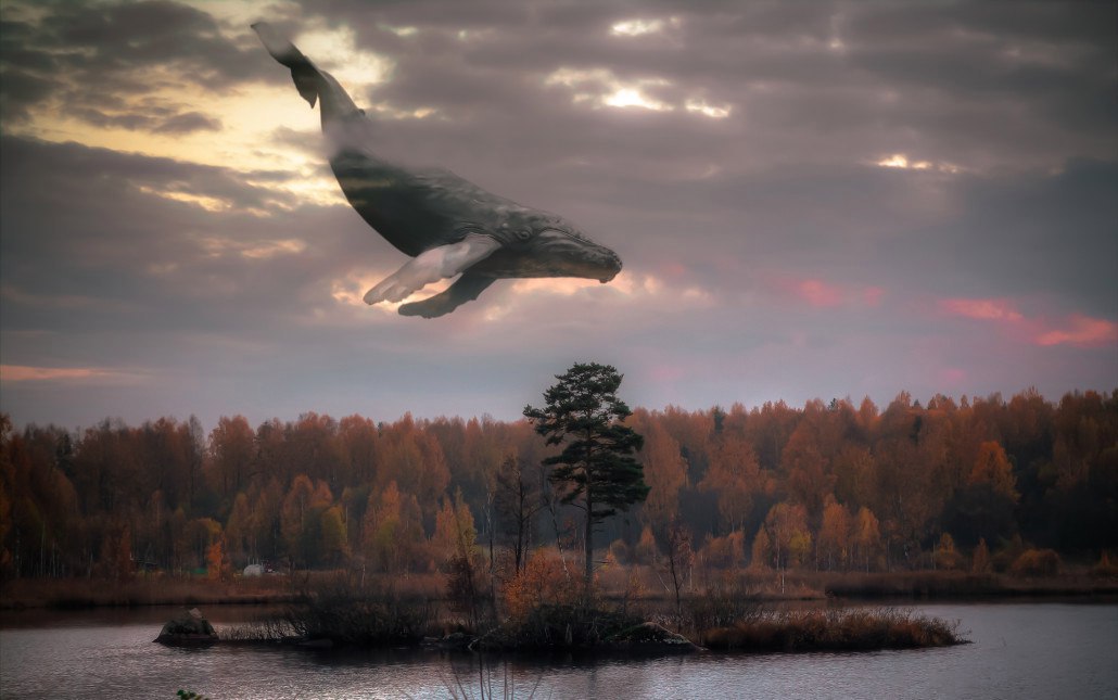 ϸ  - 3  2017  09:06 - 2