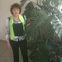 ���� �������, �������, 66 ��� - ��������� 6 ������ 2016 � ������ ���� ����������