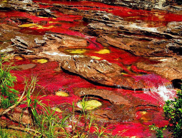 K-Kpc - o   .po o p -cc (Cao Cristales), ... - 4