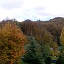 ���� ������, �����, 60 ��� - ��������� 1 ������ 2016 � ������ ���� ����������