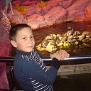 ���� Aleksandr, ��������� - ��������� 31 ������ 2017 � ������ ���������� 04.01.2017�.�