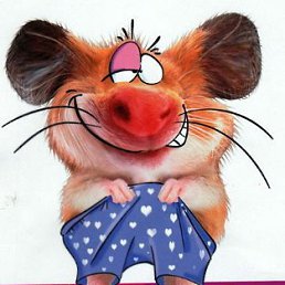 �������, ������ ��������, 58 ���