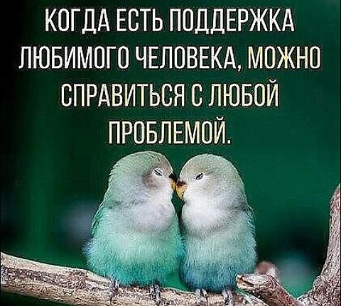  ,   ... - 23  2017  13:38