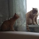 ����� �������! �� ������� �����