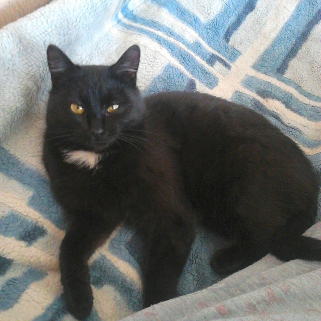 #_.  ,         ,  -  ... - 3