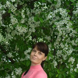 Aly, , 53 