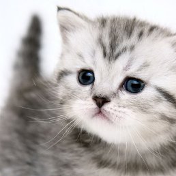 ���� �������, ������������, 53 ���� - ��������� 19 ������� 2016