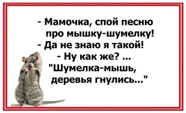  - 16  2016  11:58