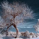  ..,  -  25  2016    .