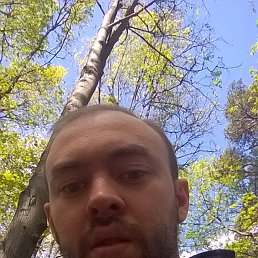 ������, ������, 39 ���