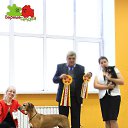��� ������ � ���������) BEST�, �������� ����� *����*, 13.11.2016, ������ �� ������� ���� �������