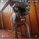 ���� ������, �������� - ��������� 28 ������ 2016 � ������ ���� ����������