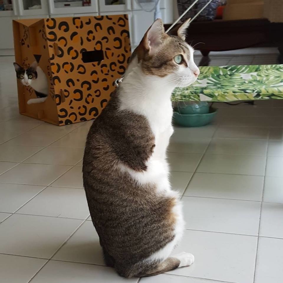  :    .     ,    .   ...