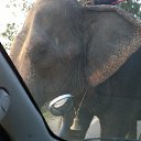 ���� Vickula, ����, 57 ��� - ��������� 22 ����� 2017 � ������ �����������