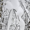 ���� �������, ���������, 52 ���� - ��������� 30 ������ 2016 � ������ ��������!�