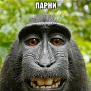 ���� ����, �����-���������, 52 ���� - ��������� 26 ������� 2016 � ������ ���� ����������