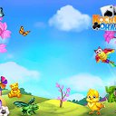 ���� ����, ������, 55 ��� - ��������� 3 ����� 2017 � ������ �������� �������-�������