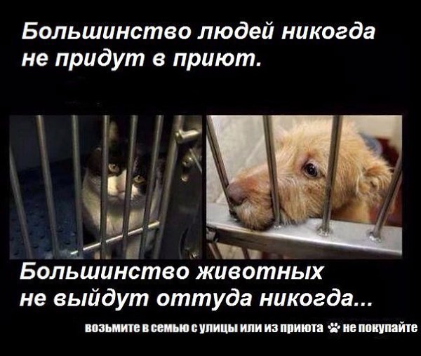 ВОТ И ЗАКОНЧИЛИСЬ ПРАЗДНИКИ. ЧУДА НЕ СЛУЧИЛОСЬ(( А МЫ ТАК ЖДАЛИ. Почему про нас забыли?(( почему ... - 4