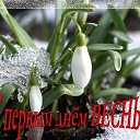 ���� �����, ������, 66 ��� - ��������� 1 ����� 2017 � ������ ������ ��������