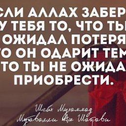 ���� ������, ���������� ����� - ��������� 2 ������ 2016