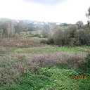 ���� �������, ������, 55 ��� - ��������� 15 �������� 2016 � ������ ���� ����������