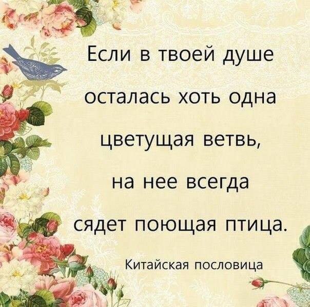 .https://fotostrana.ru/away?to=/sl/kxC2 - 29  2016  18:15