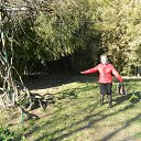  , , 73  -  26  2017     Ի